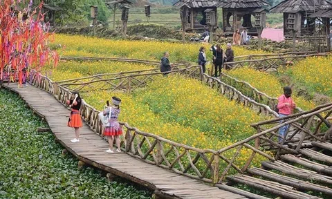 ​Du lịch xanh Lào Cai: Hướng đi tất yếu cho tương lai bền vững