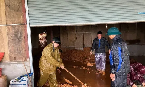 Lào Cai: Di dời hàng trăm hộ dân giữa đêm do nước lũ dâng cao