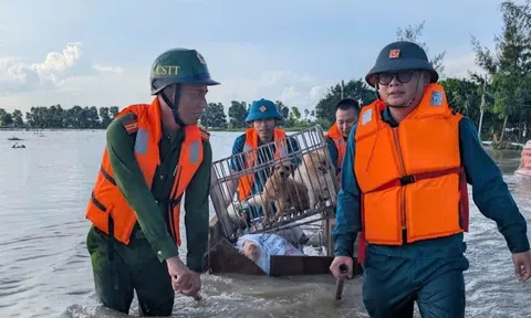 Triển khai đồng bộ các biện pháp ứng phó hình thái thiên tai kép