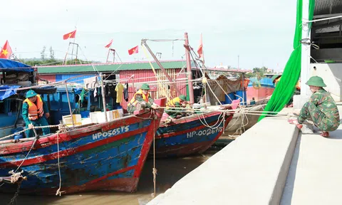 Hải Phòng: Các lực lượng quân sự trực 100%, sẵn sàng ứng phó bão số 11