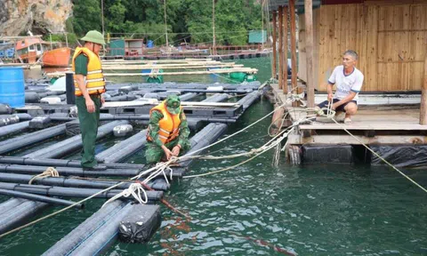 Quảng Ninh: Đặc khu Vân Đồn chủ động ứng phó với bão số 11