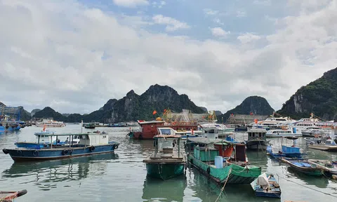 Bão số 11 suy yếu thành áp thấp, Quảng Ninh và Hải Phòng an toàn