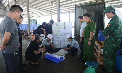 Quảng Ninh: Triệt phá đường dây buôn lậu xuyên biên giới “núp bóng” nhập khẩu hàng gia công