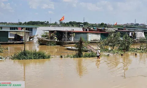 Hải Phòng: Phát lệnh báo động 1 trên hệ thống sông Thái Bình