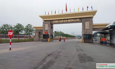 Quảng Ninh: Hoạt động xuất nhập khẩu đạt nhiều kết quả tích cực qua 9 tháng đầu năm