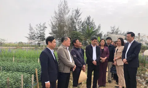 Tiến sĩ Trịnh Văn Thiện: Nhà khoa học của nhà nông đưa thương hiệu vải thiều Thanh Hà ra thế giới