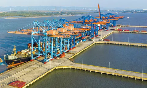 Hải Phòng: Quyết định thành lập khu thương mại tự do quy mô hơn 6,2 hecta