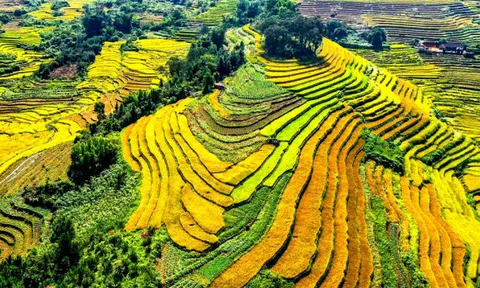 Quảng Ninh: Sắp khai hội mùa vàng 2025 ở xã Lục Hồn