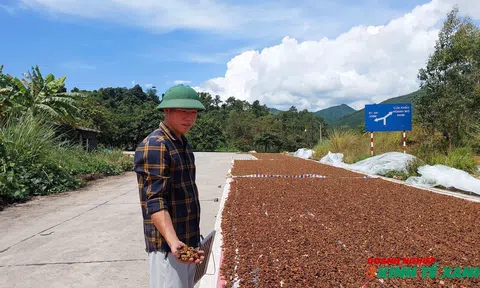 Quảng Ninh: Xây dựng chiến lược sản xuất nông nghiệp gắn với bảo vệ môi trường