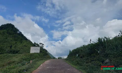 Quảng Ninh: Thành lập Trung tâm khuyến nông và quản lý bảo vệ, phát triển rừng