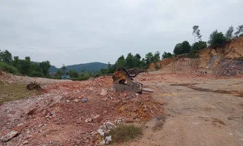 Hải Phòng: Siết chặt kỷ cương tài nguyên, hướng tới phát triển xanh và ổn định