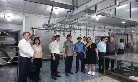 Xây dựng Kiến An trở thành phường đô thị xanh - bền vững