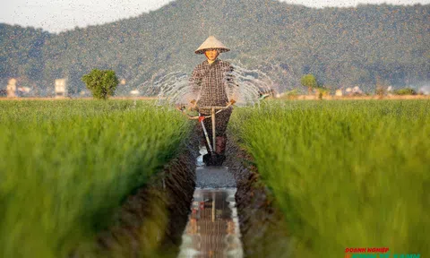 Hải Phòng: Áp dụng các tiến bộ khoa học kỹ thuật vào quy trình sản xuất, chăn nuôi