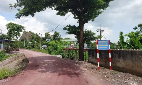 Hải Phòng: Đưa vào sử dụng 11 cống dưới đê nhằm tăng khả năng tiêu úng