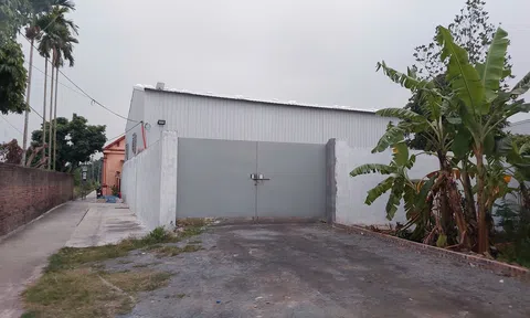 Hải Phòng: Quy trách nhiệm người đứng đầu địa phương nếu để xảy ra vi phạm đất đai