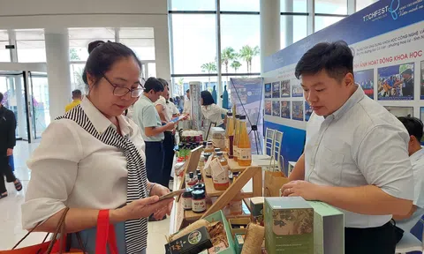 Hải Phòng: Phát triển thương mại điện tử theo hướng xanh