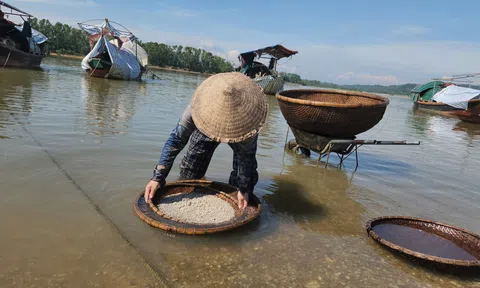 Hà Tĩnh: Khám phá làng đãi hến hơn 300 năm tuổi bên bờ sông La