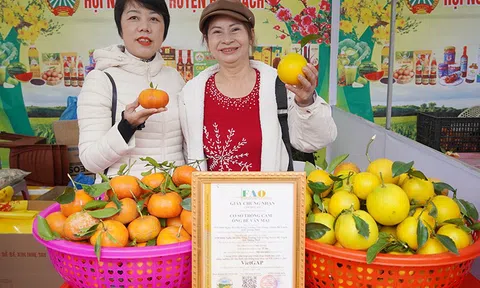 Quảng Trị: Đẩy mạnh xây dựng mã số vùng trồng cho nông sản chủ lực