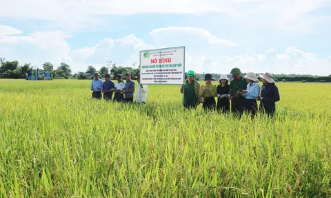 Quảng Trị: Bảo hộ chỉ dẫn địa lý giúp nâng tầm giá trị nông sản địa phương