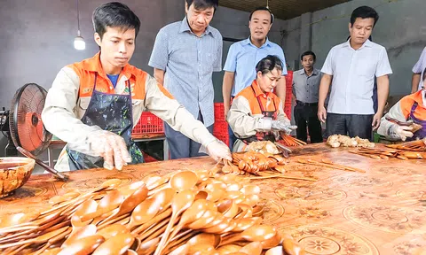 Quảng Trị: Đẩy mạnh hỗ trợ nông dân, phục hồi và phát triển nông nghiệp, nông thôn bền vững