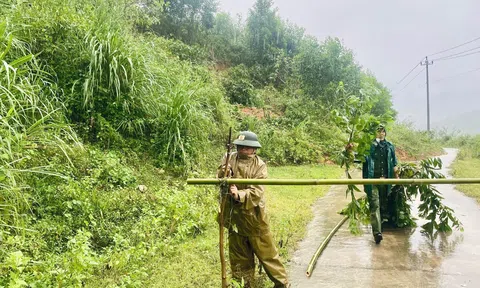 Quảng Trị: Công bố tình huống khẩn cấp, di dời trường học và nhiều hộ dân