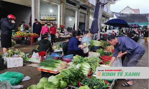 Hà Tĩnh: Rau xanh đội giá sau mưa lũ