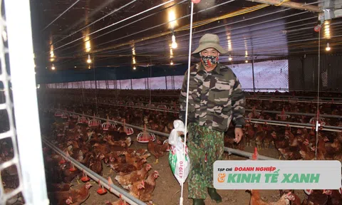 Hà Tĩnh: Quy định mức hỗ trợ khắc phục dịch bệnh động vật