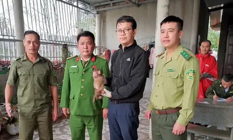 Vườn quốc gia Phong Nha - Kẻ Bàng tiếp nhận, cứu hộ hai cá thể khỉ quý hiếm