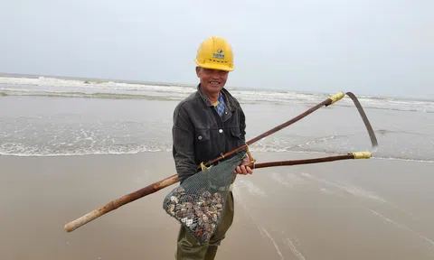 Nghề “đi giật lùi” nơi cửa biển