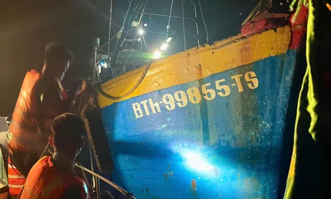 Lâm Đồng: Bắt giữ 2 tàu khai thác hải sản trái phép