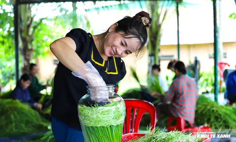 Độc đáo rượu nếp Quýt Đạ Tẻh, đặc sản của đồng bào dân tộc thiểu số