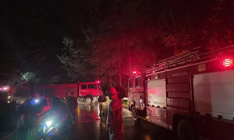 Giải cứu khẩn cấp 12 người dân khỏi vùng sạt lở đèo Mimosa trong đêm