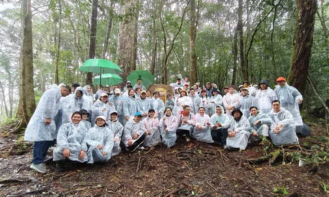 Diễn đàn Du lịch Xanh Quốc gia 2025: Khảo sát thực địa mô hình du lịch xanh tại Đà Lạt và Vườn quốc gia Bidoup - Núi Bà