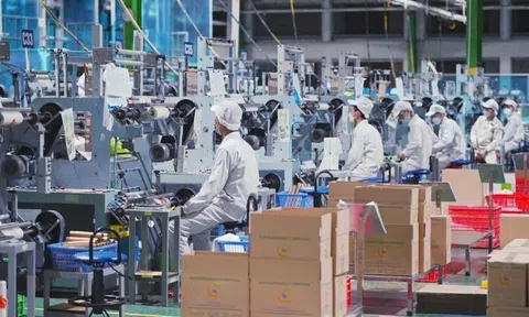 Gần 25 nghìn doanh nghiệp gia nhập thị trường mỗi tháng