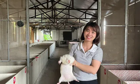Mô hình nuôi động vật hoang dã doanh thu tiền tỷ tại vùng ven đô