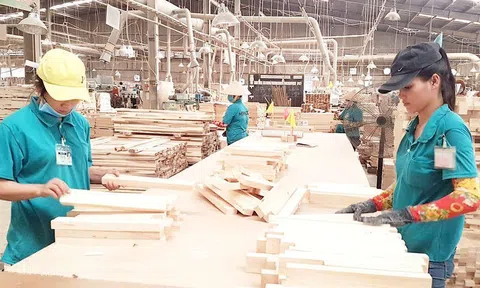 Ngành gỗ Việt Nam nỗ lực giữ vững thị trường Hoa Kỳ