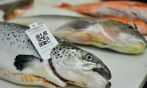 Thủy sản Việt Nam trước thách thức thâm nhập thị trường EU