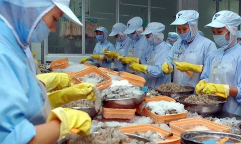 Xuất khẩu thủy sản: "Thuế chồng thuế" khi Mỹ áp thuế đối ứng 20%