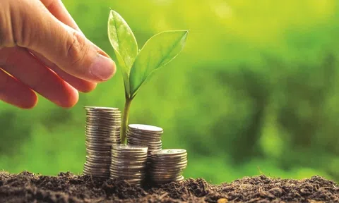 Liên minh Ngân hàng Net Zero tạm ngừng hoạt đồng: Bài học lớn cho Việt Nam giữ vững cam kết xanh