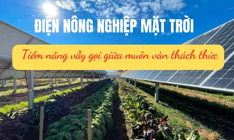 Điện nông nghiệp mặt trời - Tiềm năng vẫy gọi giữa muôn vàn thách thức