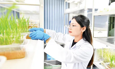 Nông nghiệp Việt Nam bước vào kỷ nguyên gene