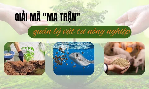 Giải mã "ma trận" quản lý vật tư nông nghiệp - Bài 2: Thức ăn chăn nuôi và thủy sản: Một lĩnh vực, hai cách quản lý