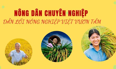 Nông dân chuyên nghiệp dẫn lối nông nghiệp Việt vươn tầm