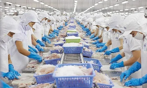 Xuất khẩu Việt "vượt sóng' giữa thách thức toàn cầu (Bài 1): Thách thức nhỏ, cơ hội lớn khi EU siết chuẩn Asen