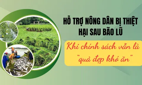 [Emagazine] Hỗ trợ nông dân bị thiệt hai sau bão lũ - Khi chính sách vẫn là “quả đẹp khó ăn”