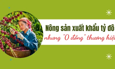 [Emagazine] Nông sản xuất khẩu tỷ đô nhưng "0 đồng” thương hiệu (Bài cuối): Định vị thương hiệu Việt