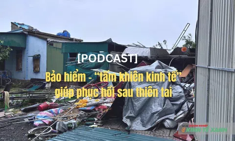 [Podcast] Bảo hiểm – “tấm khiên kinh tế” giúp phục hồi sau thiên tai