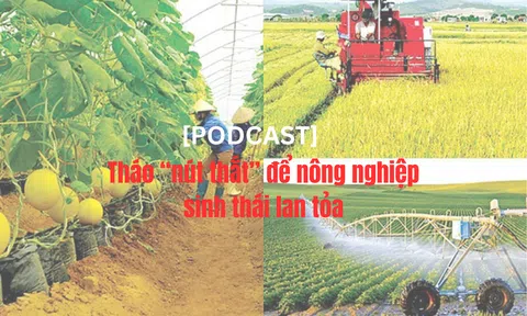 [Podcast] Tháo “nút thắt” để nông nghiệp sinh thái lan tỏa