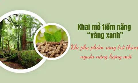 [Emagazine] Khai mở tiềm năng “vàng xanh”: Khi phụ phẩm rừng trở thành nguồn năng lượng mới