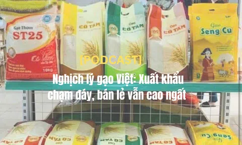 [Podcast] Nghịch lý gạo Việt: Xuất khẩu chạm đáy, bán lẻ vẫn cao ngất